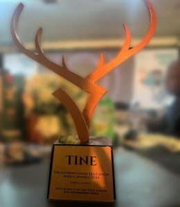 TINEAfrica 2023: VICMART Wins New Agency Of The Year Award