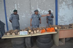 Customs Arrests Cameroonian With Pistol, 52 Elephant Tusks