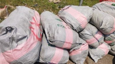 Western Marine Customs Intercepts Cannabis Worth N107m