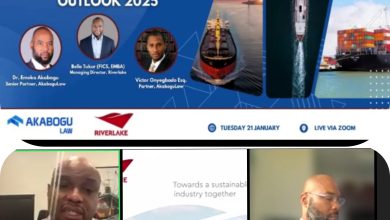 Cabotage: Indigenous Shipping To Suffer Lull In 2025 - Experts