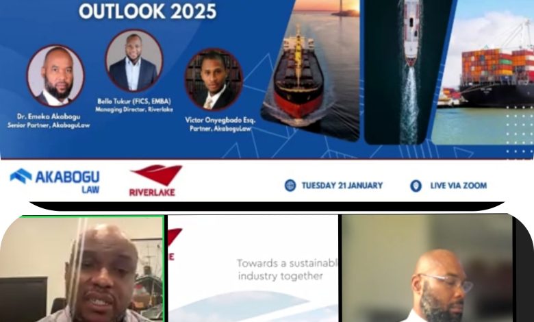 Cabotage: Indigenous Shipping To Suffer Lull In 2025 - Experts