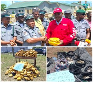 Seme Customs Facilitates N16bn Made-in-Nigeria Exports In One Month