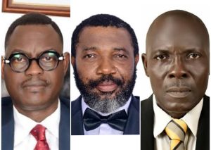SIFAX, MARAN, SEREC Laud Adeniyi's Emergence As WCO Council Chairperson