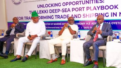 Nigeria Is Africa's Giant With Dwarf Seaports - NPA