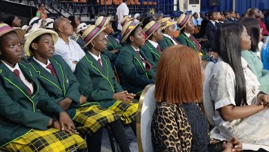 Int'l Girl-Child Day: Lagos, Abia Step Up Education, Health Agenda