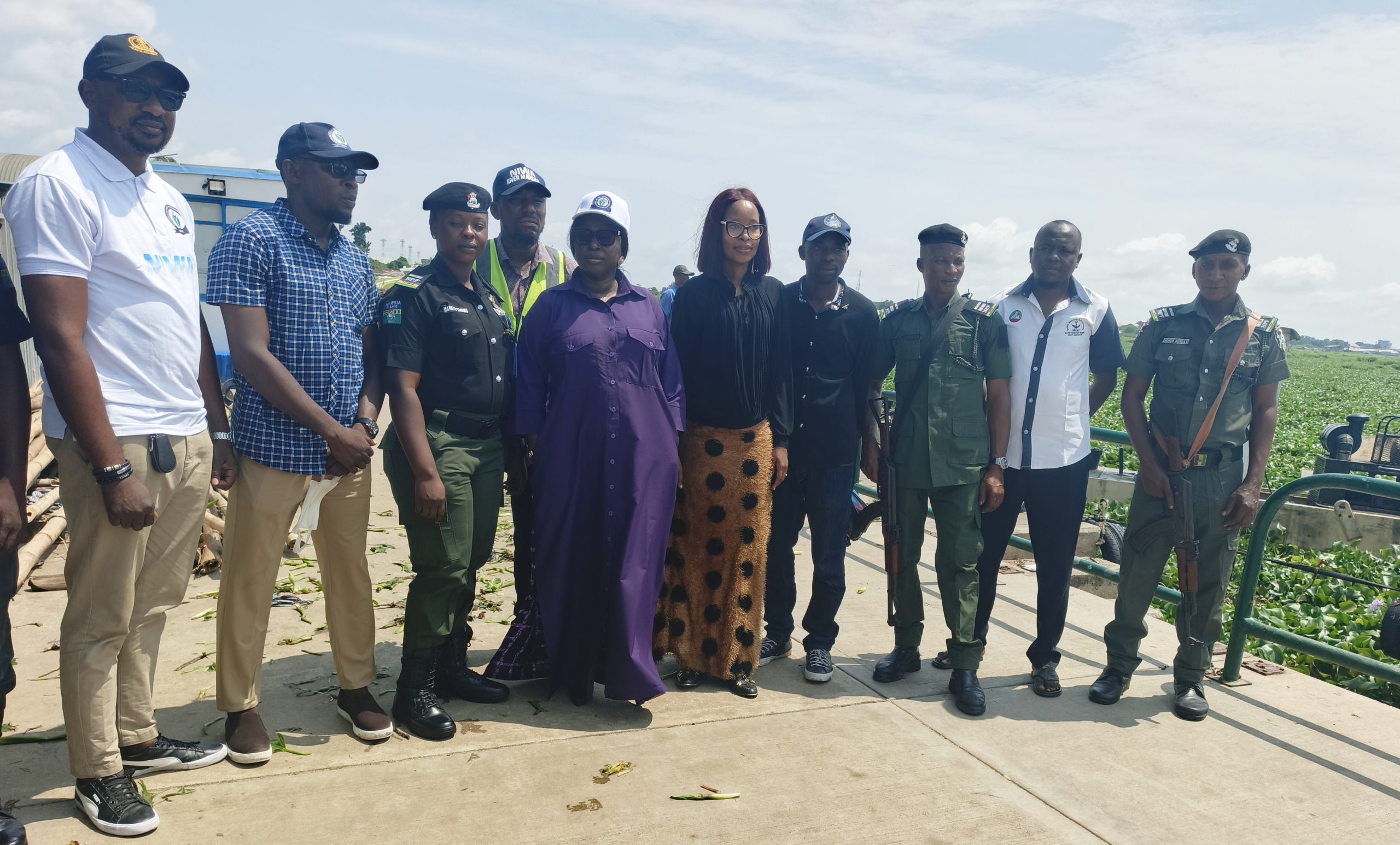 NIWA Plans Research Hub For Water Hyacinth Recycling