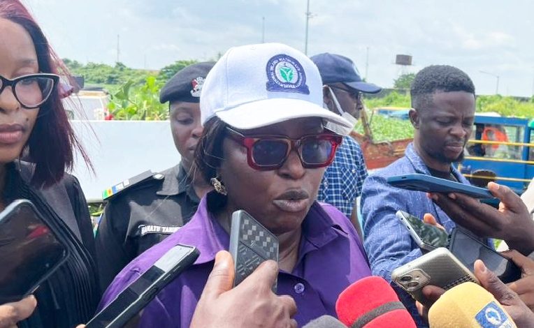 NIWA Plans Research Hub For Water Hyacinth Recycling