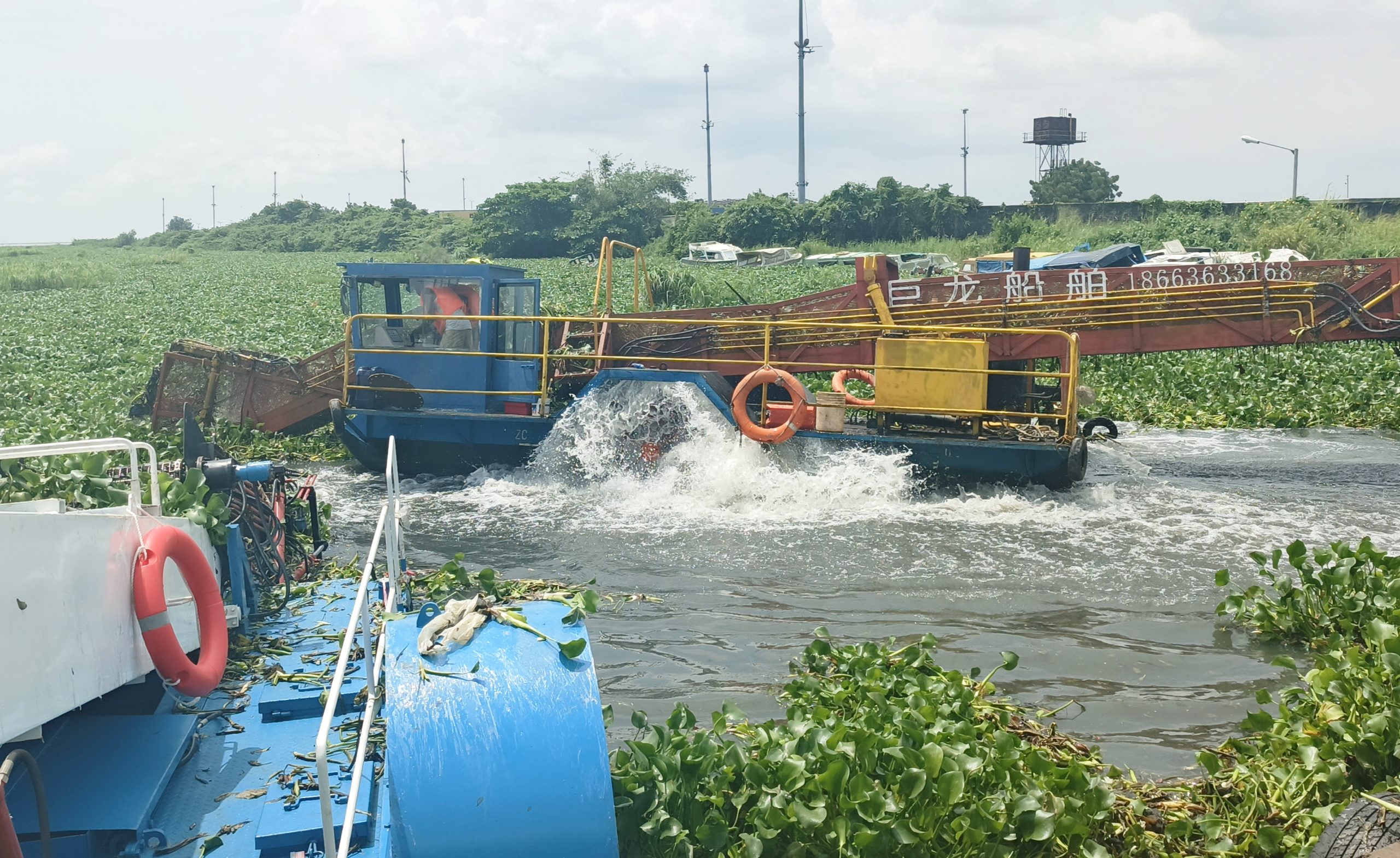 NIWA Plans Research Hub For Water Hyacinth Recycling