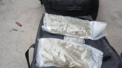 Again! Customs, NDLEA Seize 1,187kg Of Canadian Loud In Apapa Port