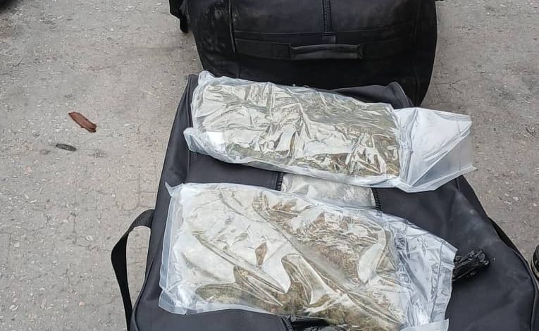 Again! Customs, NDLEA Seize 1,187kg Of Canadian Loud In Apapa Port