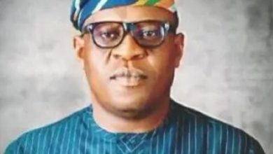 NFVCB Classifies 1,185 Films In 2025, Records Strong Industry Activity