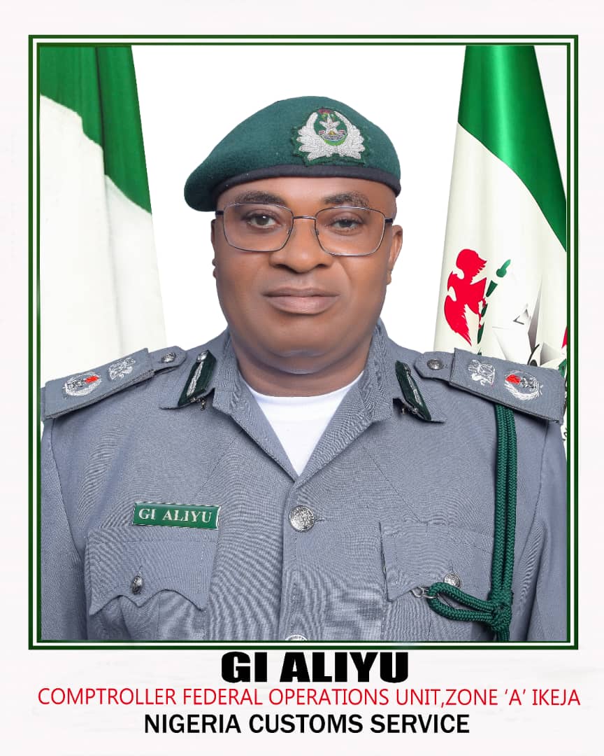 Customs Foils Pangolin Smuggling In Ajilete Creeks, Rescues Four Endangered Animals