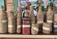 LASWA Turns Water Hyacinth into Wealth, Empowers 50 Women, Youths in Epe