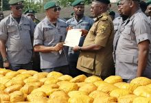 Customs FOU ‘A’ Seizes 6,954 Bags of Rice, 1431kg Cannabis, Others Worth N3.3bn