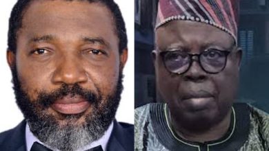 SEREC Hails Shittu’s Appointment as UN-POLAC Peace Advocate