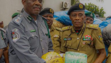 Customs Burst N2.6bn Drug Haul, Hands Over To NDLEA In Owerri