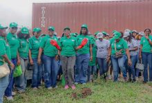 COWA Drives Green Advocacy in Owerri, Leads Tree-Planting Campaign