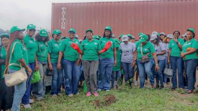 COWA Drives Green Advocacy in Owerri, Leads Tree-Planting Campaign