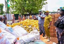 Nigeria’s $4.3m Border War: How Ogun Customs Battles Smugglers