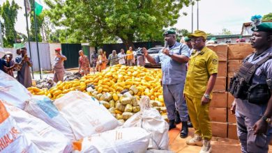 Nigeria’s $4.3m Border War: How Ogun Customs Battles Smugglers
