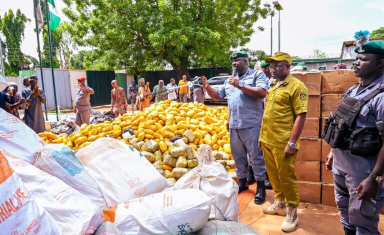 Nigeria’s $4.3m Border War: How Ogun Customs Battles Smugglers