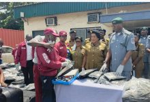 Customs, NDLEA Intercept N16.6bn Cannabis Shipment At Tincan Port