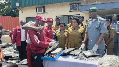 Customs, NDLEA Intercept N16.6bn Cannabis Shipment At Tincan Port