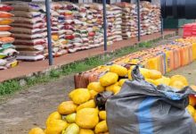 Seme Customs Revenue Jumps 448% as Border Trade Rebounds