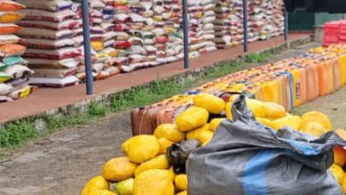 Seme Customs Revenue Jumps 448% as Border Trade Rebounds