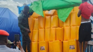 Customs Seizes N403.5m Smuggled Vegetable Oil, Intercepts 3,360 Jerrycans