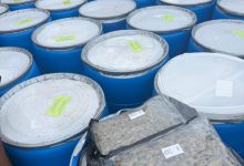 Apapa Customs Seizes 1.8 Tonnes of Canadian Loud, Expired Drugs Worth N12.78bn