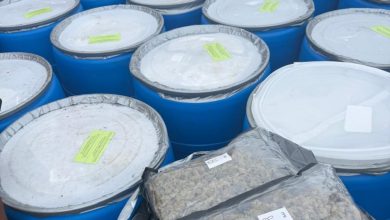 Apapa Customs Seizes 1.8 Tonnes of Canadian Loud, Expired Drugs Worth N12.78bn