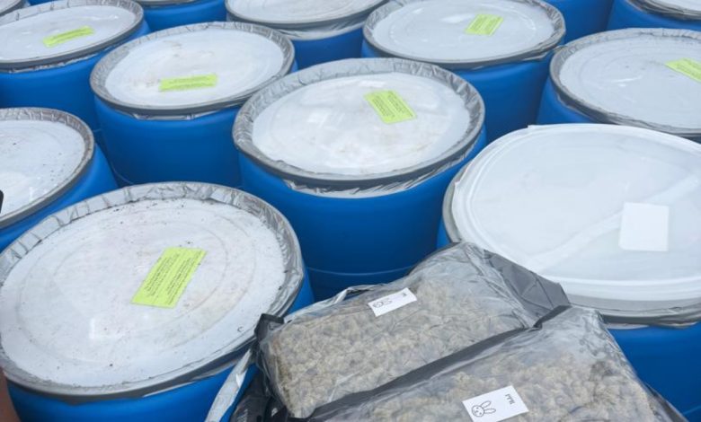 Apapa Customs Seizes 1.8 Tonnes of Canadian Loud, Expired Drugs Worth N12.78bn