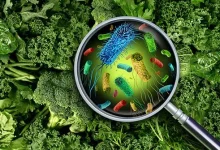 Food Poisoning Crisis Deepens As Expert Blames Farmer Knowledge Gap