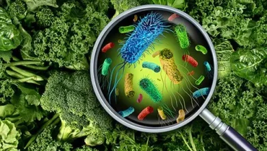 Food Poisoning Crisis Deepens As Expert Blames Farmer Knowledge Gap