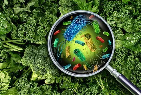 Food Poisoning Crisis Deepens As Expert Blames Farmer Knowledge Gap