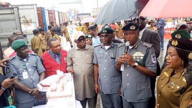 Customs Seizes N53.39bn Illicit Drugs, Expired Pharmaceuticals at Apapa Port