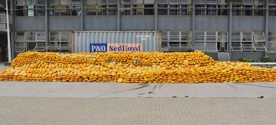 Customs FOU Zone A Seizes 3.1 Tonnes Cannabis, N3.95bn Narcotics In Lagos