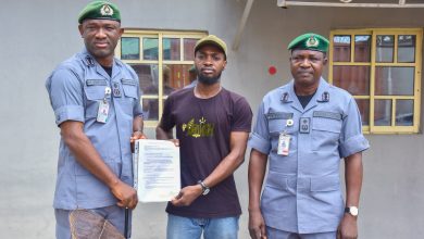 Customs Rescues Five Live Pangolins in Ogun as Traffickers Flee Patrol