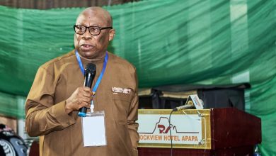 Maritime Industry Must Turn Policy Into Practice Or Lose Cargoes - Ebubeogu
